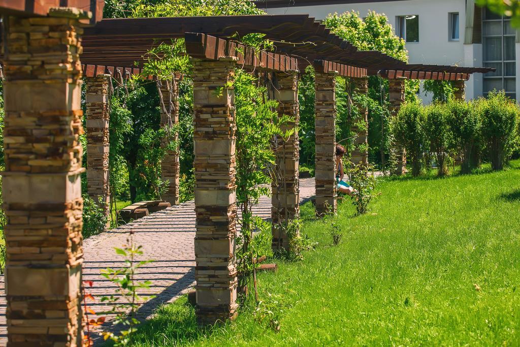 Karpaty